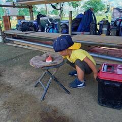 お茶当番なし❗『エースライオンズ』⚾少年野球チームメイト募集中⚾ − 千葉県