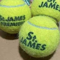 テニスボールSt.James 100球程度　使用期間1.5ヶ月程度