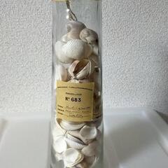 【無料】貝殻瓶セット