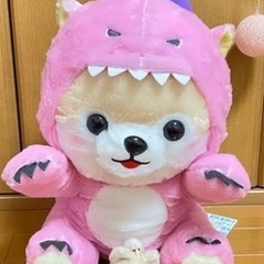 飼い主募集中☆豆しば三兄弟☆36匹☆