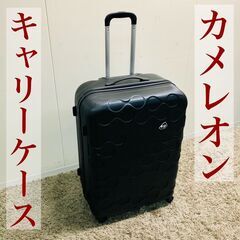 【ネット決済】【F】カメレオン キャリーケース スーツケース 大型