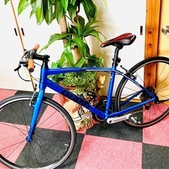 [受付終了]しました 快適なスポーツ走行に GIANT ESCAPE(3x9 27速)