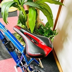 [受付終了]しました 快適なスポーツ走行に GIANT ESCAPE(3x9 27速)