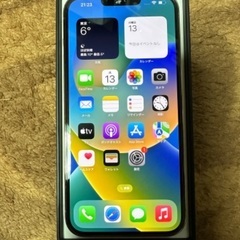 iPhone13 Pro max 256GB