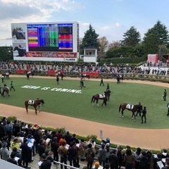 中山競馬場に現地観戦！競馬🏇有馬記念！中山大障害！