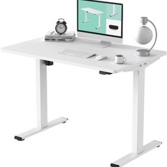 FLEXISPOT 電動式スタンディングデスク(幅120×奥行60) 昇降デスク 高さ調節デスク パソコンデスク 人間工学 ゲーミングデスク EG1セット(足白＋天板白)