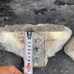 壁掛け　シャンデリア‼️ 2セット