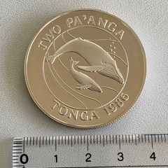 【ネット決済・配送可】トンガ　国連環境保護組織創立25周年大型記念銀貨
