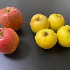 【受渡予定者決定】りんご　6つ