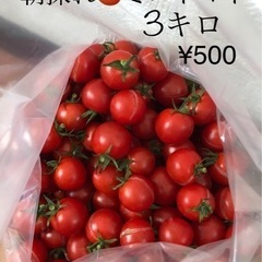 【お取引中】朝採れ☀️ミニトマト🍅3キロ.¥500🤗