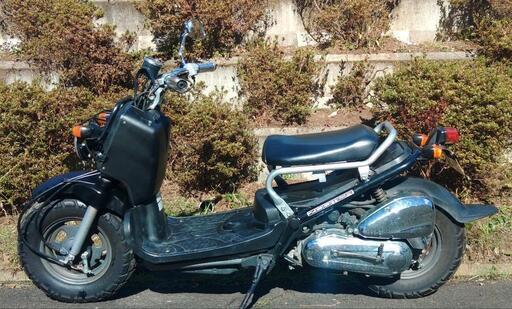 ズーマー (1782) | no-sweat.com.co