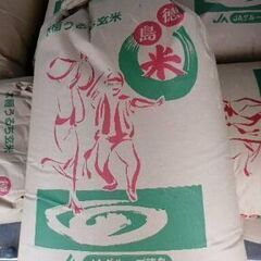 古米　徳島県産コシヒカリ　玄米30kg