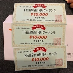 下呂温泉　旅行券30,000円分