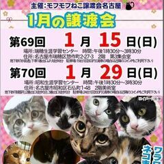 1/15(日)　猫の譲渡会　in　名古屋市瑞穂生涯学習センター