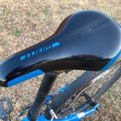 Giant ARX 24 子供用自転車 小学中から高学年用 目安130-150cm程度