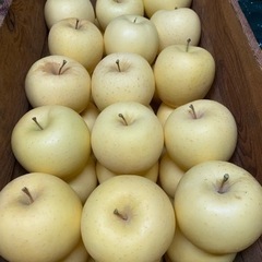 完熟りんご 金星 1kg~ 希少品種！