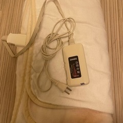 電気毛布　