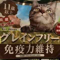 【地域猫】餌やりさんをご存じの方を探しています