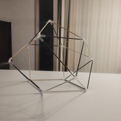 5/6回 Tensegrity model creation s...