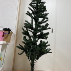 クリスマスツリー（もみの木のみ）
