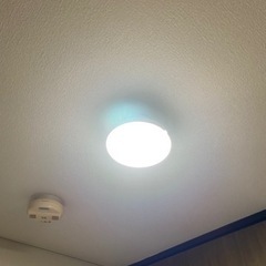 LEDミニシーリングライト エントラ 電球色(60L)