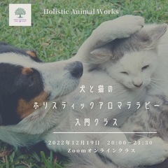 ✨犬と猫のホリスティックアロマテラピー入門クラス✨