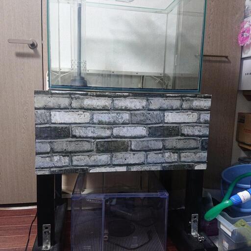 60 ワイド 水槽 オーバーフロー おまけ付き