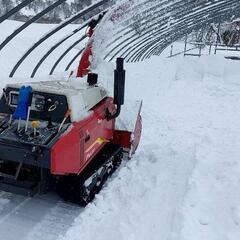 ビニールハウス等の除雪します！