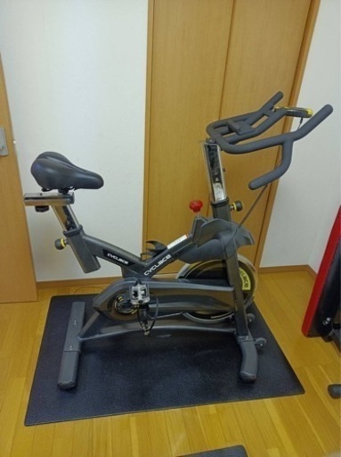 エアロバイク フィットネスバイク トレーニング器具 美品 | vaisand.com