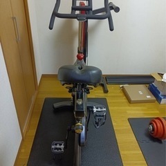 エアロバイク フィットネスバイク トレーニング器具 美品-THE NORTH FACE バルトロライトジャケットLサイズ