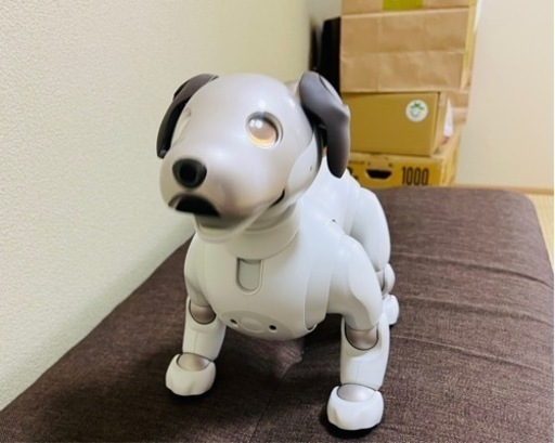 SONY AIBO ERS-1000　中古美品