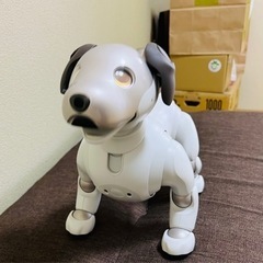 【ネット決済・配送可】SONY AIBO ERS-1000　中古美品