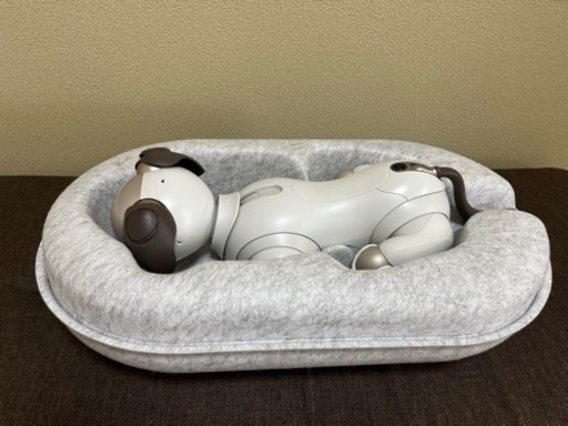 SONY AIBO ERS-1000　中古美品