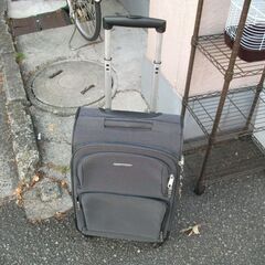 travelexpert スーツケース　縦60㎝　横37㎝　厚さ22㎝