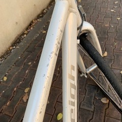 ラレー RFL Radford-L パールホワイト