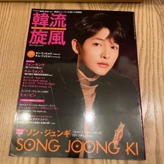 ソンジュンギ　ソン・ジュンギ　韓流旋風 Vol.96