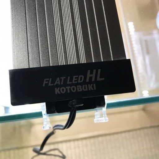 ①ケージとライトのセット