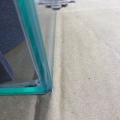 ②ケージとライトのセット