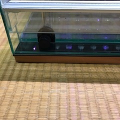 ③ケージとライトのセット