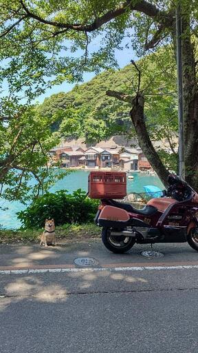 ホンダst1100 パンヨーロピアン
