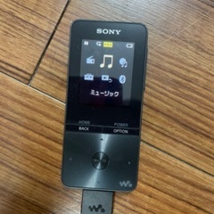 SONY ウォークマン Sシリーズ NW-S313