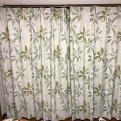 日本製カーテン 薄緑 178cm