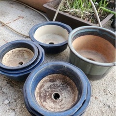 陶器製の丸型植木鉢8鉢になります。