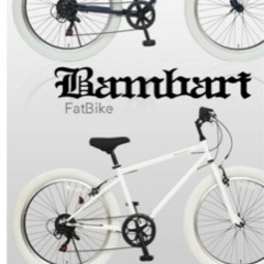 ファットバイク　　2021年2月購入