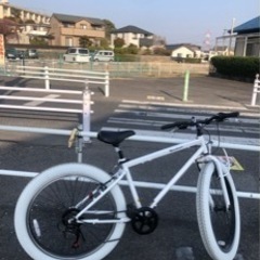 ファットバイク　　2021年2月購入