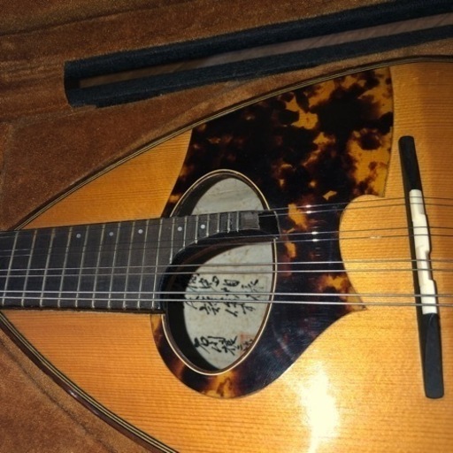 割引 マンドリン