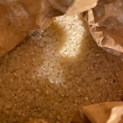 【無料】玄米　精米済み約2.5kg