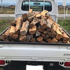 1-13薪ストーブキャンプ広葉樹 薪割済のニセアカシア薪 1棚水分13