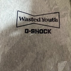 Wasted Youth x G-Shock Hoodie