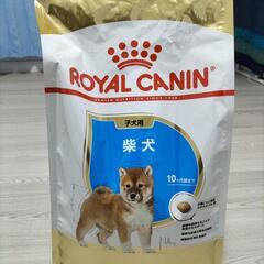 柴犬子犬用ロイヤルカナンドライフード3キロ